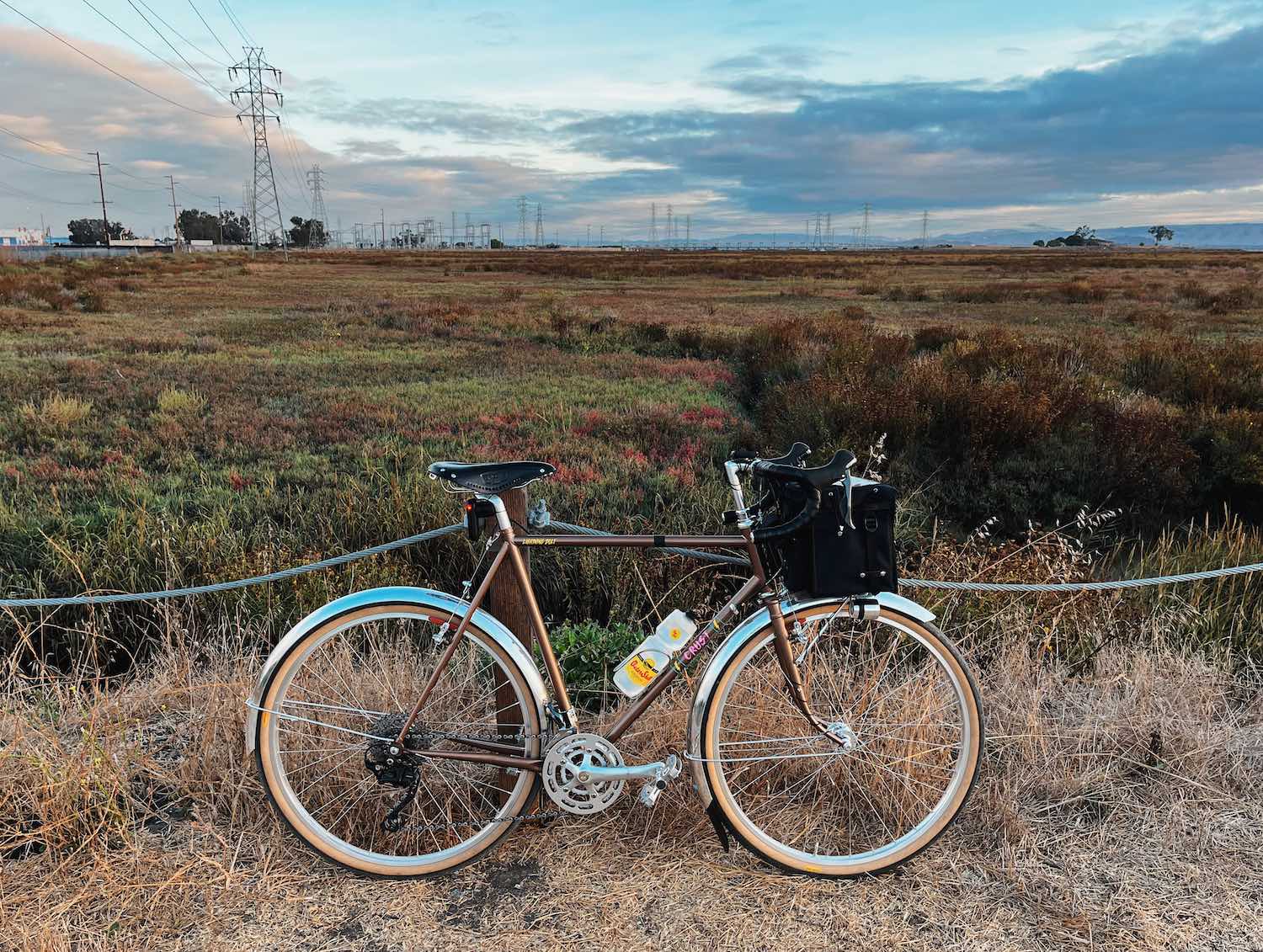 Bicycle in front of marsh by the San Francisco Bay